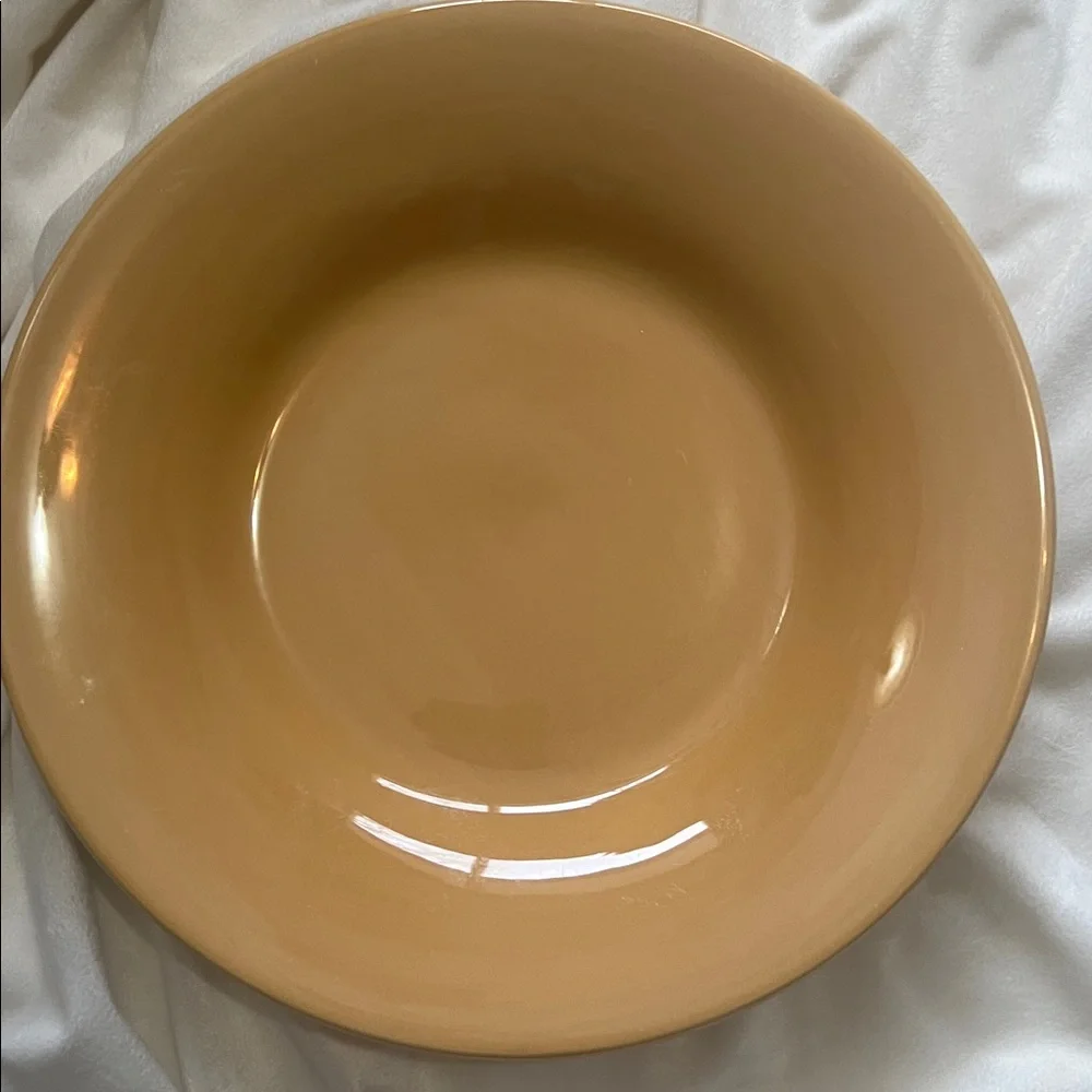 Pottery Barn Sausalito 4 Dinner Plates each 12 Inches each